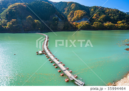 《東京都》紅葉の奥多摩湖・ドラム缶橋 《東京都》紅葉の奥多摩湖・ドラム缶橋 35994464
