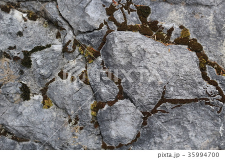荒い岩肌 荒い岩肌 35994700