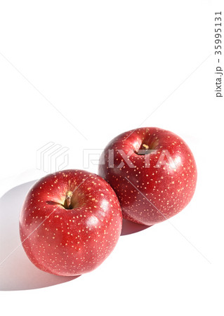 リンゴ（千雪） 35995131