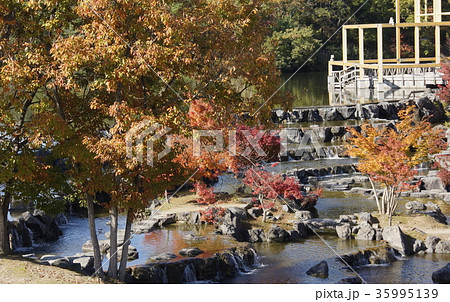 水景園風景 水景園風景 35995139