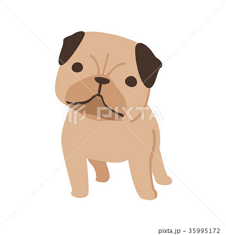 可愛い顔をした犬のパグのイラスト のイラスト素材