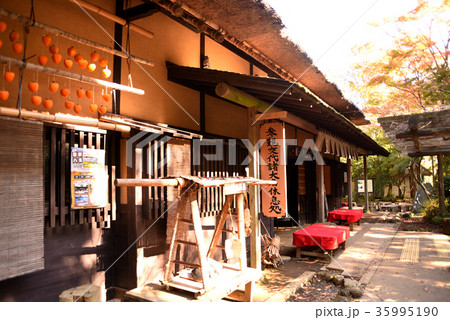 甘酒茶屋 35995190