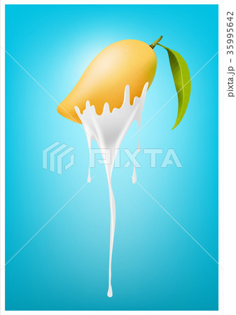 Mango Yogurt and Smoothie milk with fruit, Juice 35995642