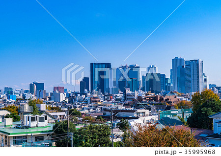 東京・都市風景 東京・都市風景 35995968