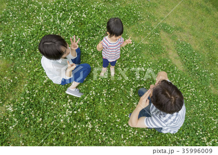 花の咲く公園で遊ぶ3人家族 花の咲く公園で遊ぶ3人家族 35996009