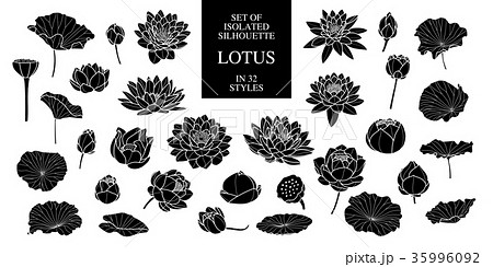 Set Of Isolated Silhouette Lotus In 32 Styles のイラスト素材