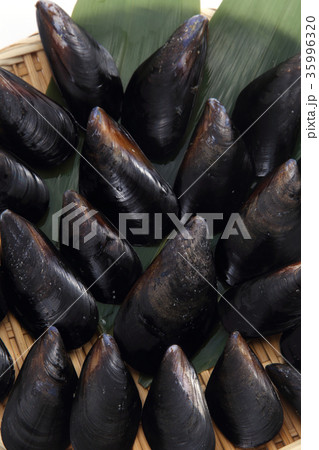 ムール貝 ムール貝 35996320