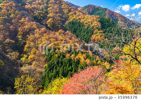 秋の自然風景 35996376