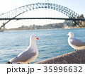 シドニーの景色 35996632