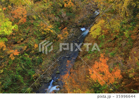 紅葉の三途川渓谷の写真素材