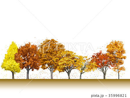 街路樹の紅葉2 35996821