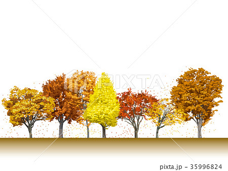 街路樹の紅葉4 35996824