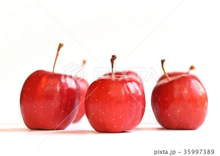 リンゴ（アルプス乙女） 35997389