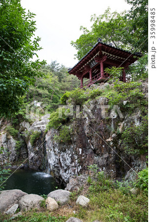 滝 張角の滝 精子 35998485
