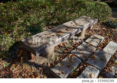 秋の日の寂れたベンチ 35999299