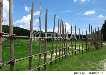 設楽原古戦場 復元された馬防柵 設楽原古戦場 復元された馬防柵 36000424