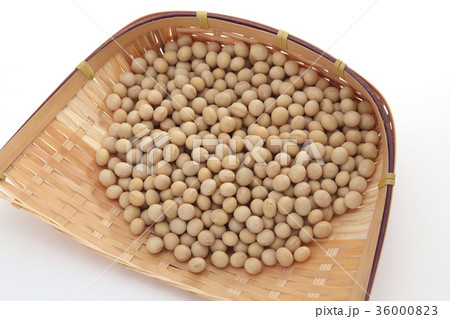 大豆 大豆 36000823