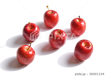 リンゴ（アルプス乙女） 36001144