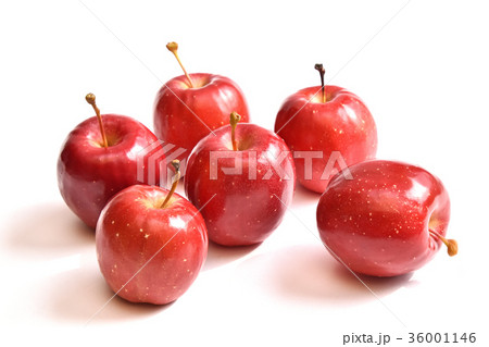 リンゴ（アルプス乙女） 36001146
