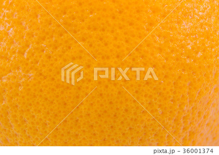 close up grapefruit or orange peel texture 36001374