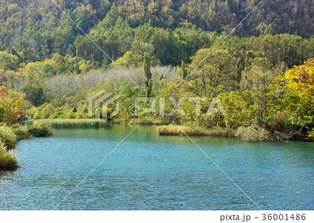 新山沼　壮瞥川の堰止湖　北海道 36001486