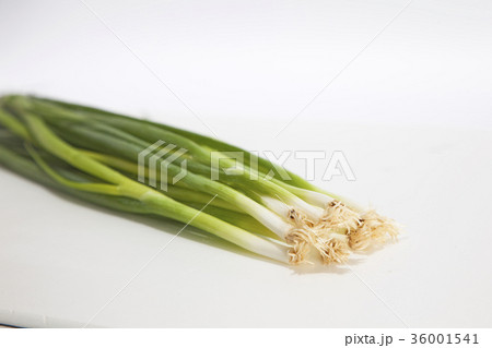 ねぎ　青ねぎ　万能ねぎ 36001541