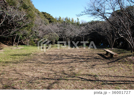 衣笠城　本丸跡 36001727
