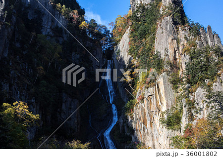 秋の層雲峡 銀河の滝 秋の層雲峡 銀河の滝 36001802