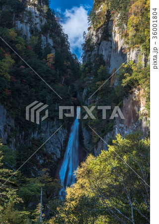 秋の層雲峡 流星の滝 秋の層雲峡 流星の滝 36001804