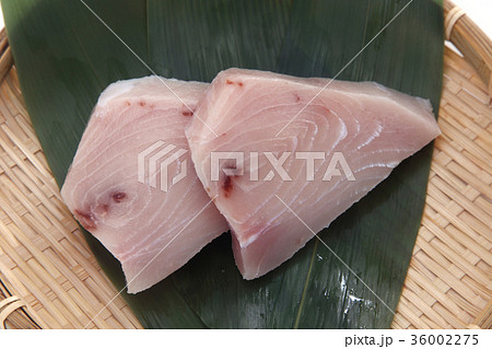 メカジキの切り身の写真素材