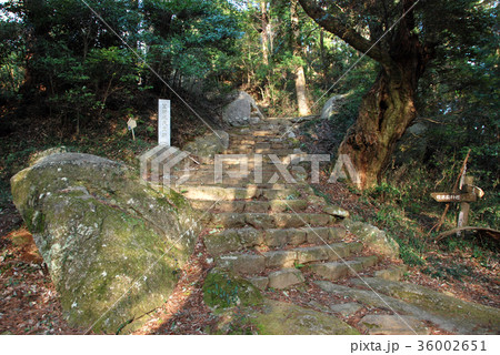 笠間城跡 天守曲輪城道 笠間城跡 天守曲輪城道 36002651