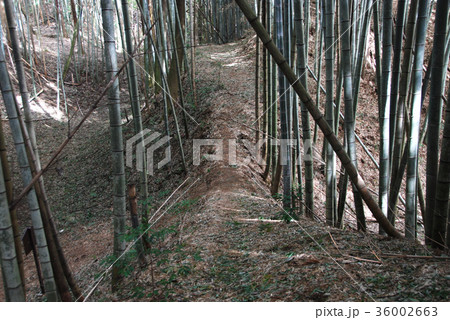 小幡城跡　土橋 36002663