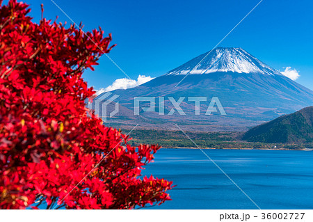 紅葉・富士山 紅葉・富士山 36002727