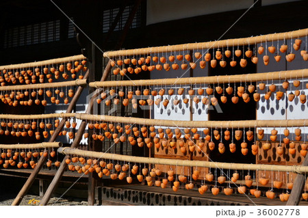 甘草屋敷 36002778