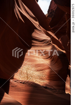 Antelope canyon 36002875