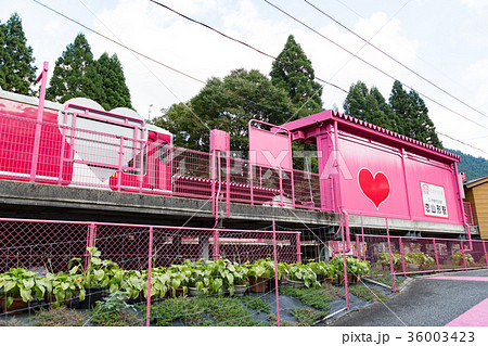 恋山形駅 -恋がかなう駅- 智頭急行智頭線 恋山形駅 -恋がかなう駅- 智頭急行智頭線 36003423