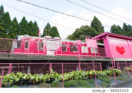 恋山形駅 -恋がかなう駅- 智頭急行智頭線 36003424