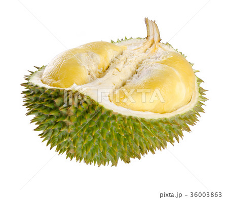 Shell (husk) of the prized durian fruit. Shell (husk) of the prized durian fruit. 36003863