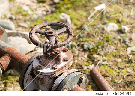 配管素材　バルブ 36004694