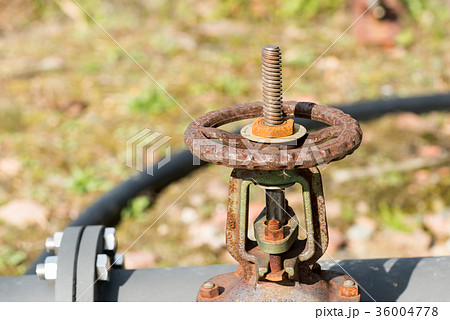 配管素材　バルブ 36004778