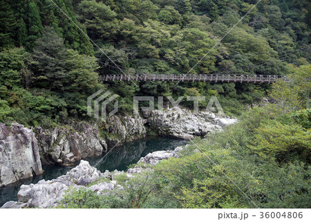 飛騨川 飛騨川 36004806