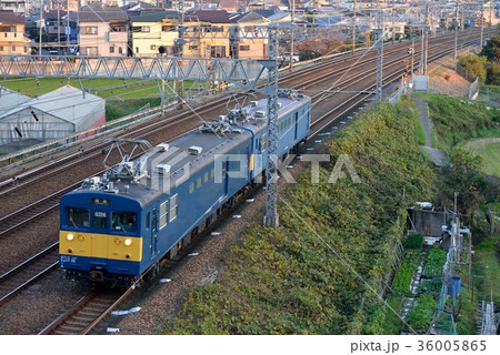 クモヤ145×2両回送電車 クモヤ145×2両回送電車 36005865