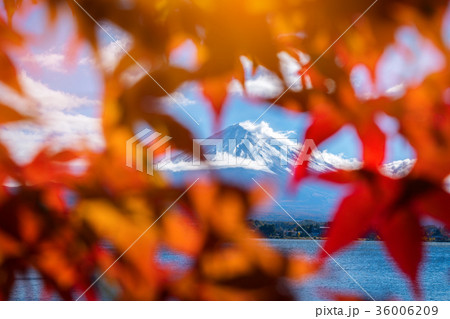 Mount Fuji in Autumn Color, Japan 36006209