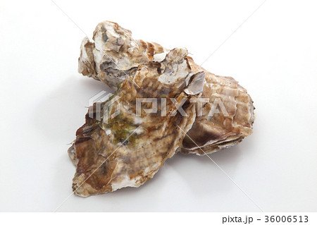 牡蠣 36006513