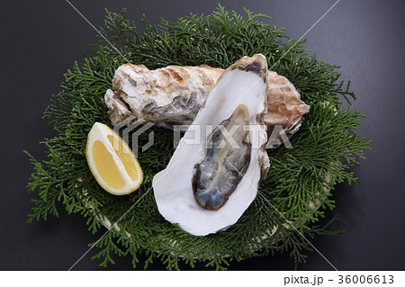 牡蠣 牡蠣 36006613