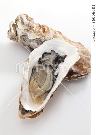 牡蠣 36006681
