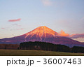 夕暮れ時の美しい富士山 36007463