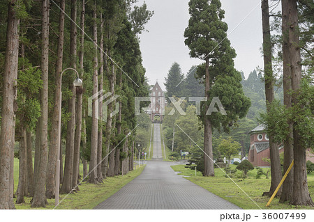北海道・函館 トラピスト修道院 北海道・函館 トラピスト修道院 36007499