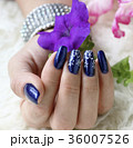 Beautifully manicured fingernails 36007526