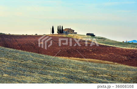 Tuscany sunrise countryside, Italy 36008108